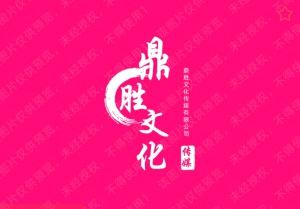 鼎胜文化传媒 招女主播 运营